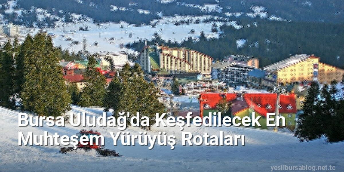 Bursa Uludağ'da Keşfedilecek En Muhteşem Yürüyüş Rotaları - yesilbursablog.net.tc