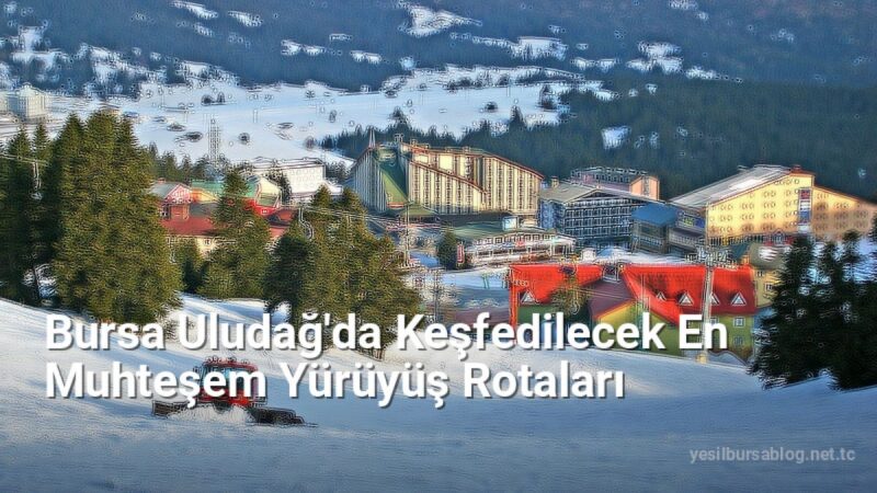 Bursa Uludağ'da Keşfedilecek En Muhteşem Yürüyüş Rotaları - yesilbursablog.net.tc