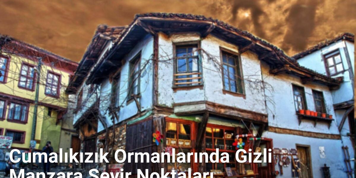 Cumalıkızık Ormanlarında Gizli Manzara Seyir Noktaları - yesilbursablog.net.tc