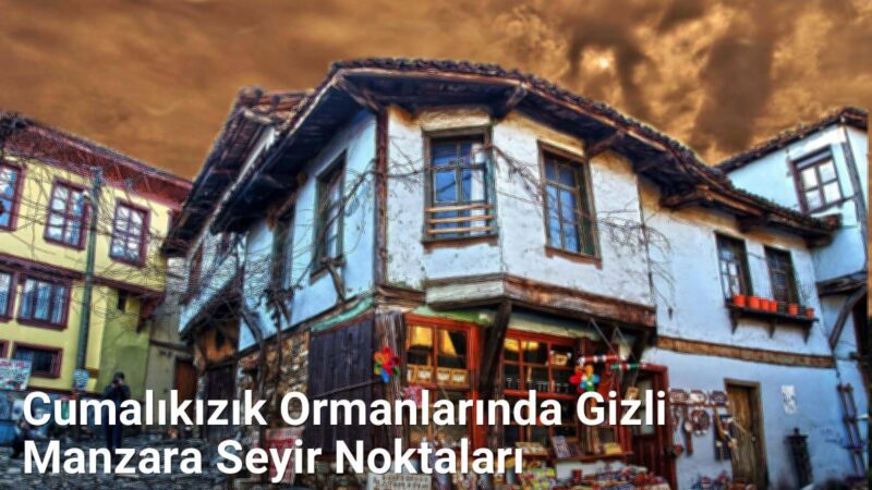 Cumalıkızık Ormanlarında Gizli Manzara Seyir Noktaları - yesilbursablog.net.tc