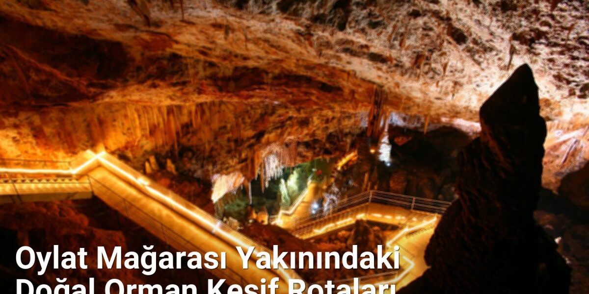 Oylat Mağarası Yakınındaki Doğal Orman Keşif Rotaları - yesilbursablog.net.tc