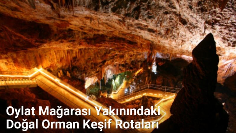 Oylat Mağarası Yakınındaki Doğal Orman Keşif Rotaları - yesilbursablog.net.tc