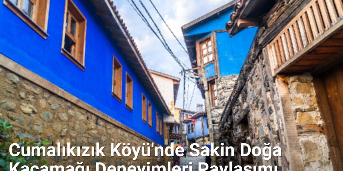Cumalıkızık Köyü'nde Sakin Doğa Kaçamağı Deneyimleri Paylaşımı - yesilbursablog.net.tc