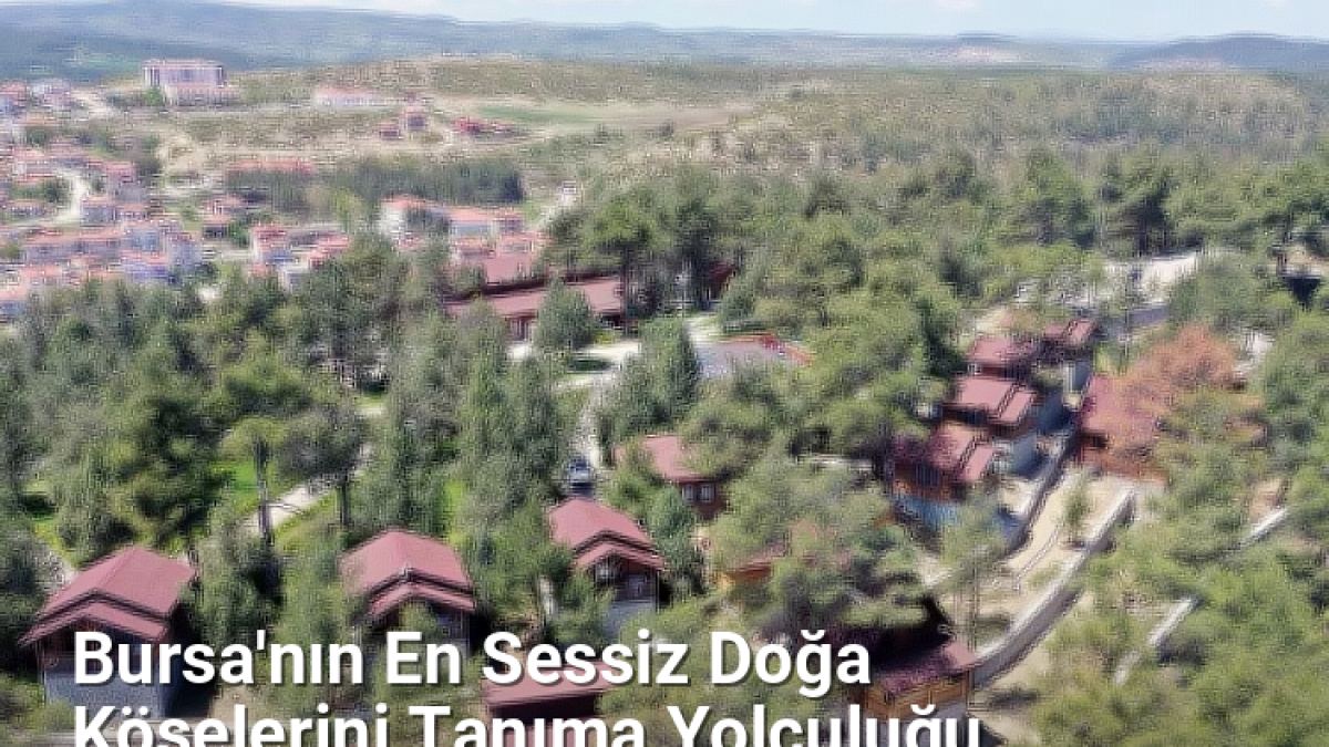 Bursa'nın En Sessiz Doğa Köşelerini Tanıma Yolculuğu - yesilbursablog.net.tc