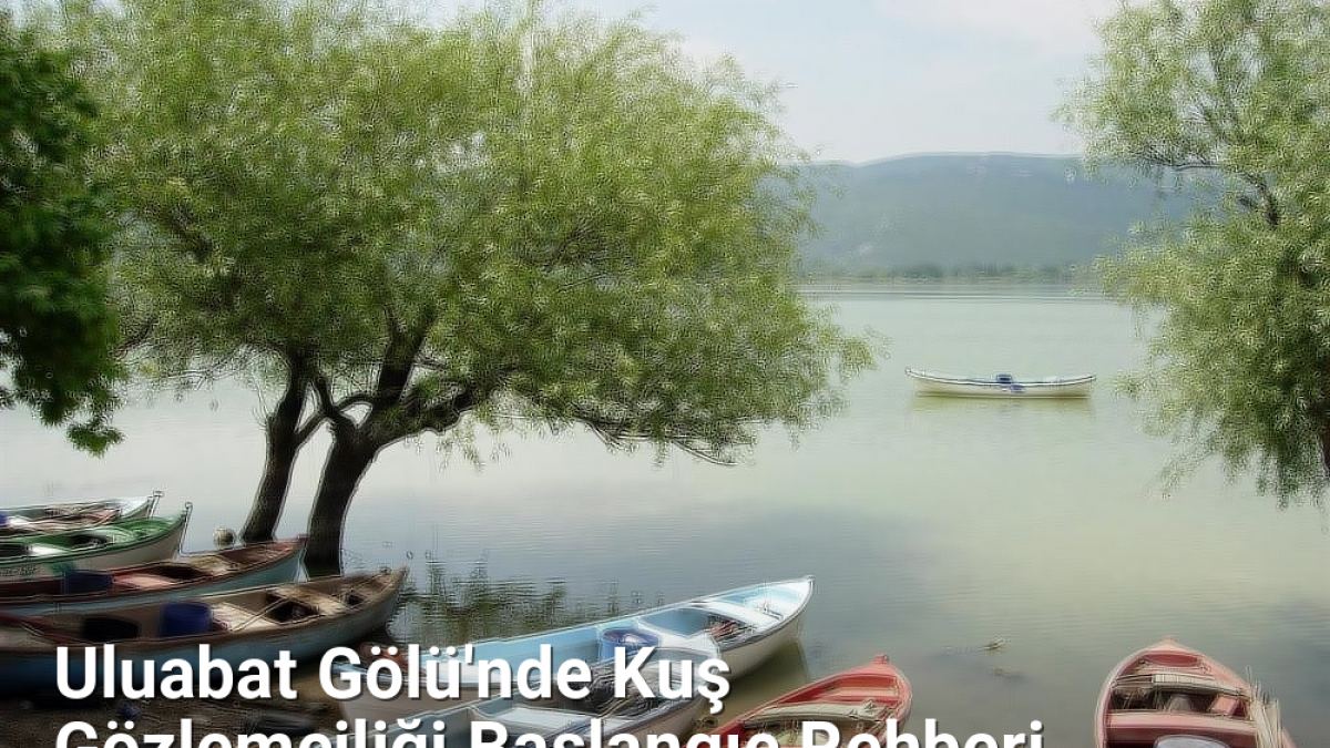 Uluabat Gölü'nde Kuş Gözlemciliği Başlangıç Rehberi - yesilbursablog.net.tc