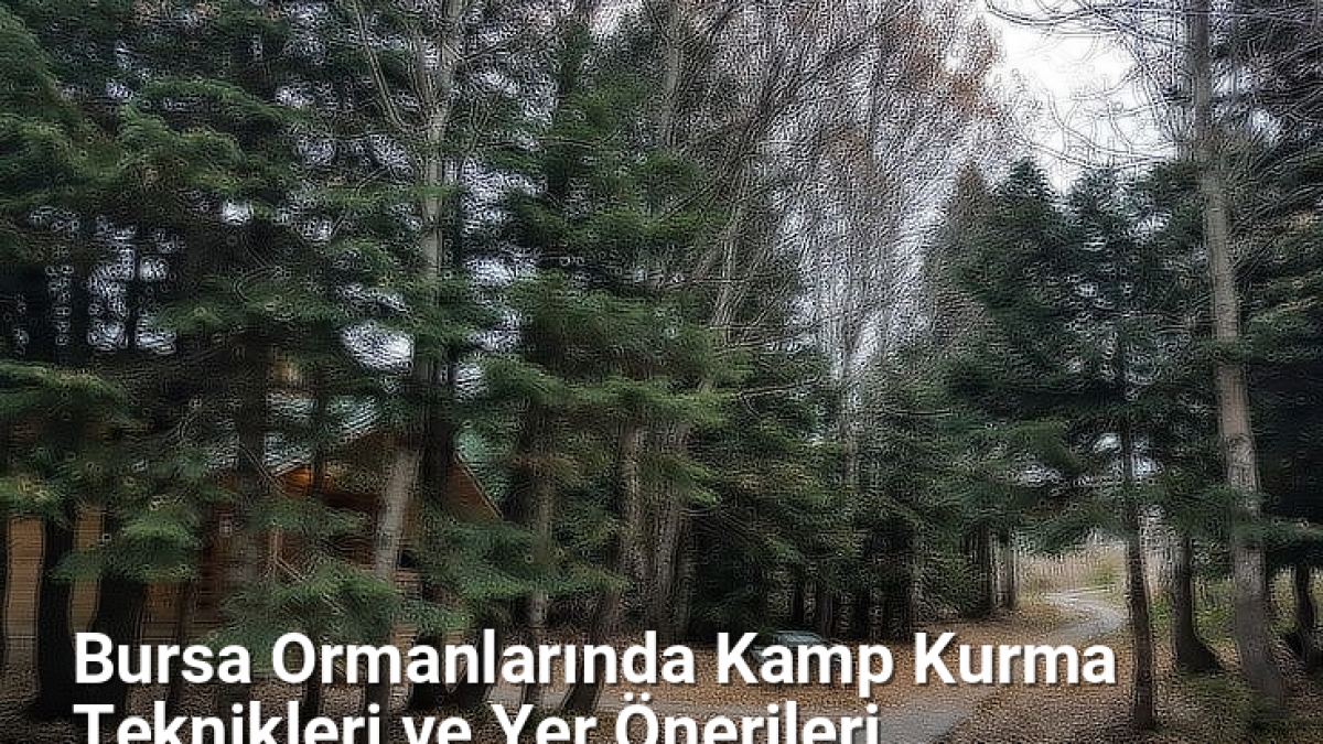 Bursa Ormanlarında Kamp Kurma Teknikleri ve Yer Önerileri - yesilbursablog.net.tc