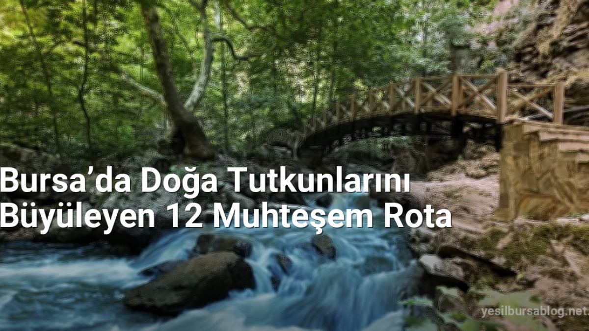 Bursa’da Doğa Tutkunlarını Büyüleyen 12 Muhteşem Rota - yesilbursablog.net.tc