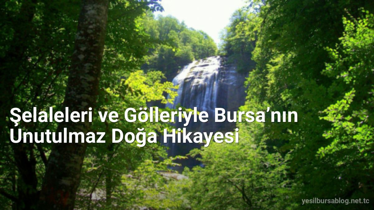 Şelaleleri ve Gölleriyle Bursa’nın Unutulmaz Doğa Hikayesi - yesilbursablog.net.tc