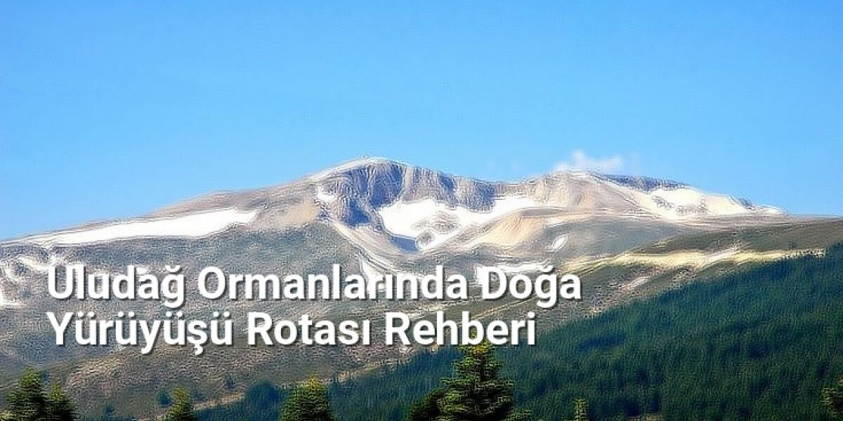 Uludağ Ormanlarında Doğa Yürüyüşü Rotası Rehberi - yesilbursablog.net.tc